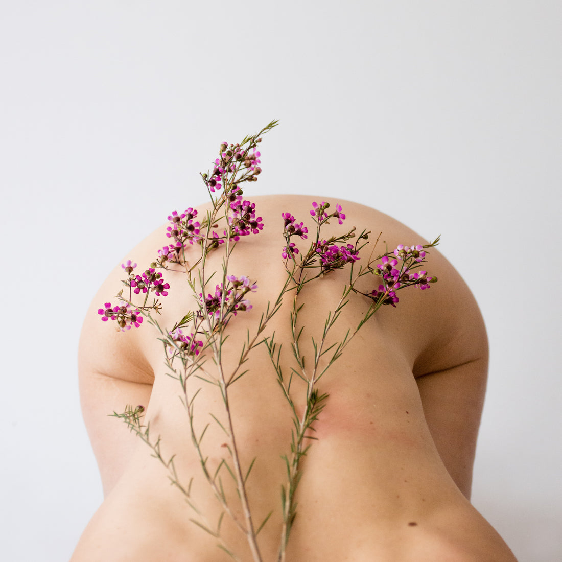 Entropy, Earth Day & EPA Rollbacks - Back of Nude Model Covered in Pink Flowers