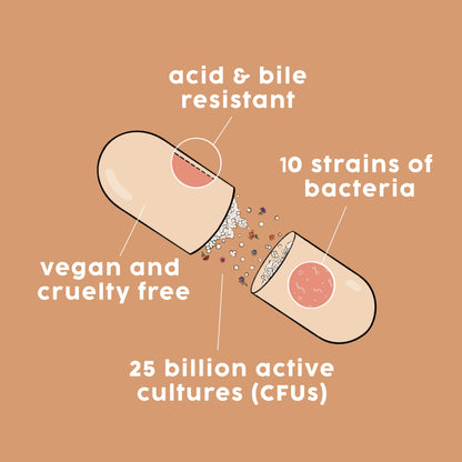 drawing of our probiotic pills, calling out acid & bile resistant, 10 strains of bacteria, vegan and cruelty free, and 25 billon active cultures (cfu)