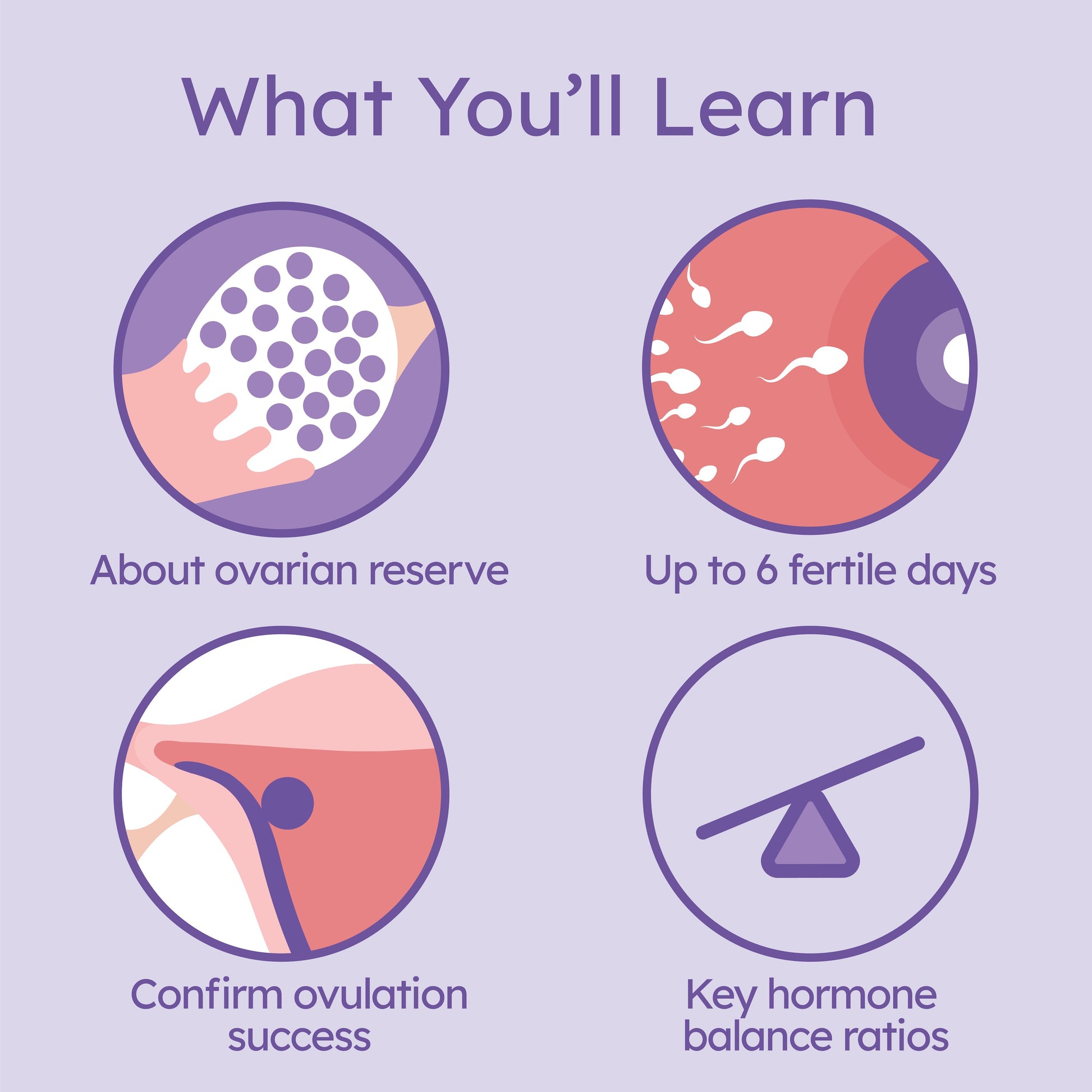 Proov Complete Fertility Insight Graphic showing what you'll learn.